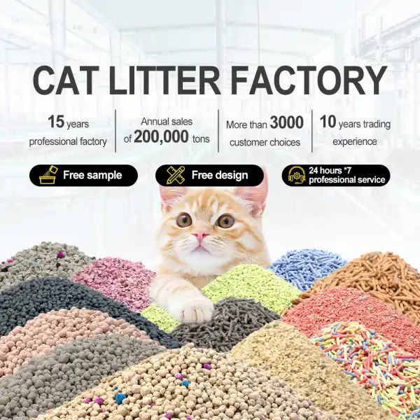 Various types of cat litter